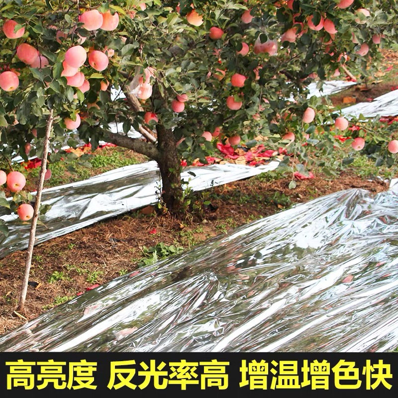 广安市防草布果树反光膜 - 推荐